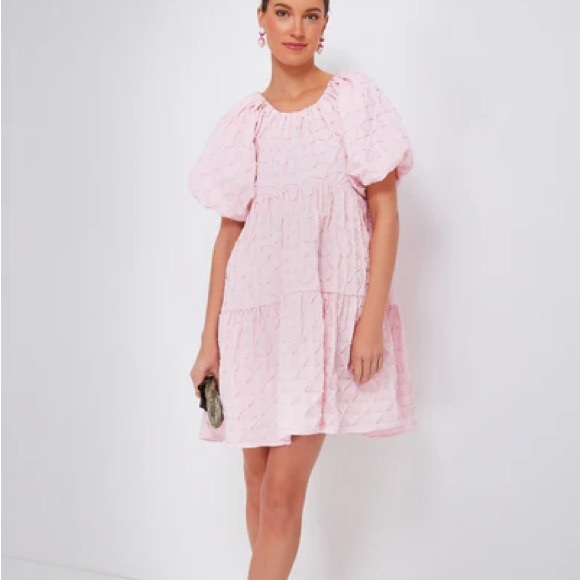 Tuckernuck Hyacinth House Pink Diamond Textured Isabella Mini Dress NWT size M - Picture 1 of 6